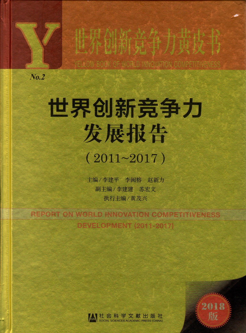 操韩国骚逼世界创新竞争力发展报告（2011-2017）